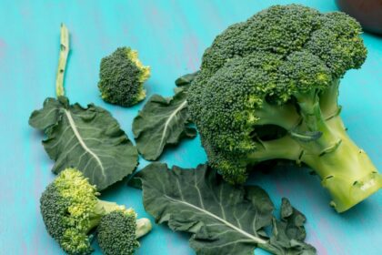 10 Things You Should Know Before Growing Broccoli in South Africa