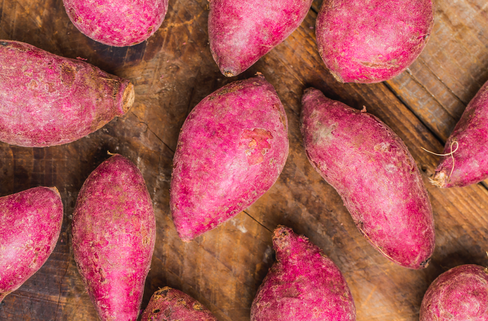 Growing Sweet Potatoes In South Africa