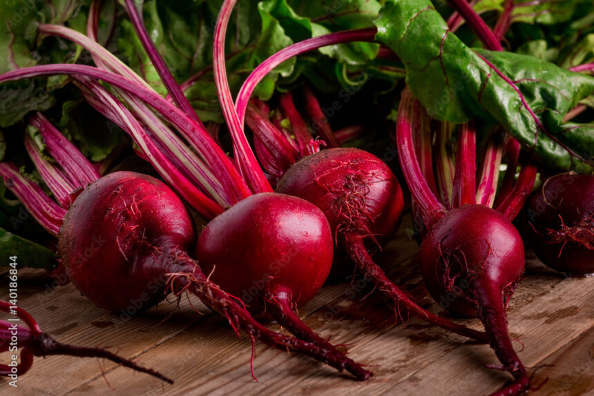 Symptoms Of Powdery Mildew You Should Look Out For In Beetroot