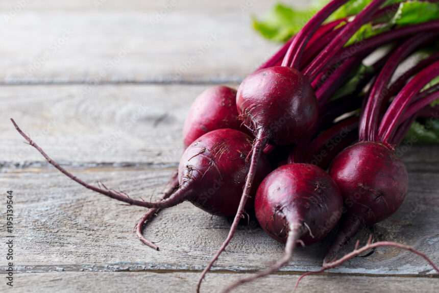 Symptoms Of Rhizoctonia Root Rot You Should Look Out For In Beetroot