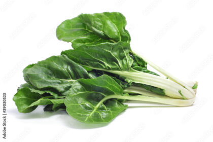 Symptoms Of Anthracnose You Should Look Out For In Spinach