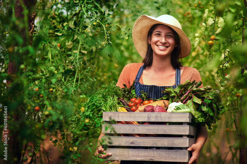 Exploring Different Marketing Strategies For Selling Your Farm Products In South Africa