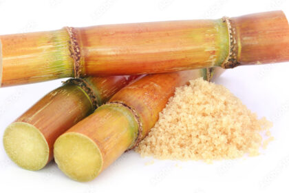 Symptoms Of Sugarcane Smut You Should Look Out For In Sugarcane