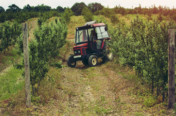 How to Choose the Right Vineyard Equipment for Grape Production