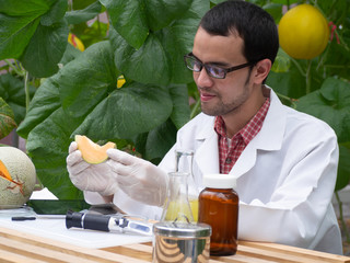 10 Things you should know about a Agricultural Chemist job