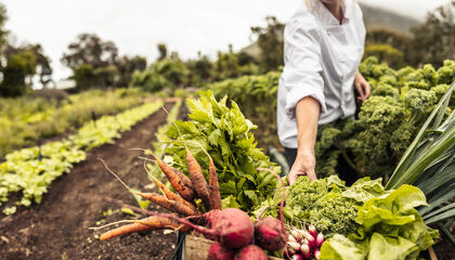 Choosing The Right Crop Or Livestock For Your South African Farming Venture