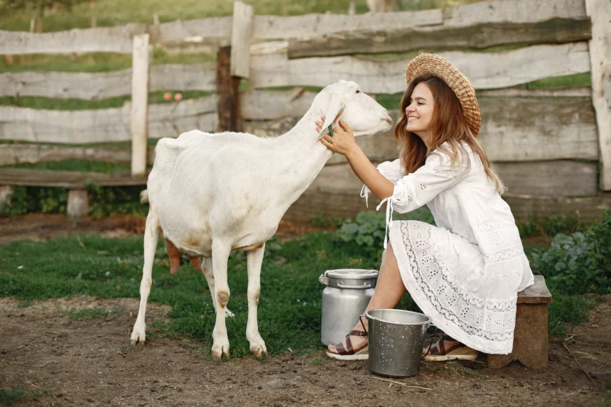 10 Goat Milk Products You Should Know About