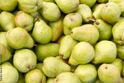 Symptoms Of Pear Decline You Should Look Out For In Pears