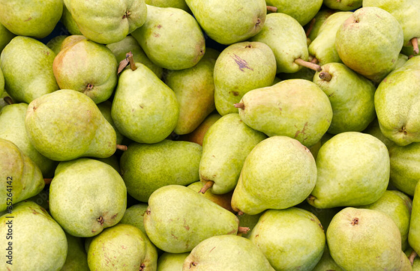 Symptoms Of Pear Decline You Should Look Out For In Pears