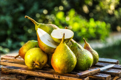 Symptoms Of Root Rots You Should Look Out For In Pears