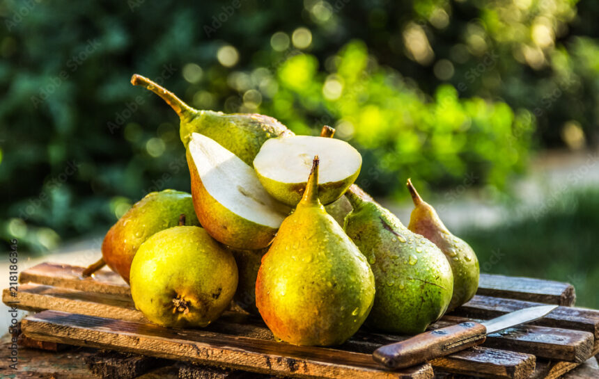 Symptoms Of Root Rots You Should Look Out For In Pears