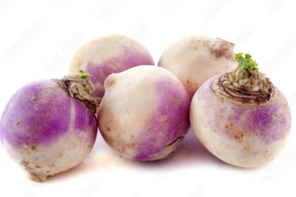 Symptoms Of Clubroot You Should Look Out For In Turnips