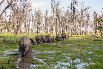 Promoting Wildlife Conservation and Biodiversity on Farms