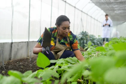 20 Careers In South African Agriculture You Should Know About
