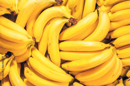 Symptoms Of Black Sigatoka You Should Look Out For In Bananas