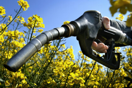 10 Things You Should Know About Biofuel Production In South Africa