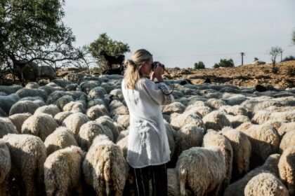 Exploring Sustainable Grazing Practices for Livestock in South Africa