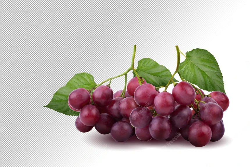 Symptoms Of Esca You Should Look Out For In Grapes