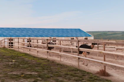 How to Select the Right Livestock Housing and Fencing Systems for Your Farm