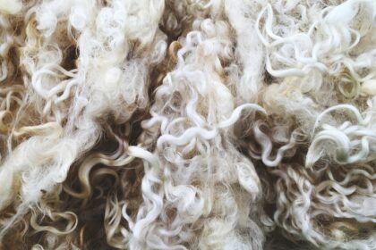 Speciality Fiber Production: From Alpaca to Angora in South Africa