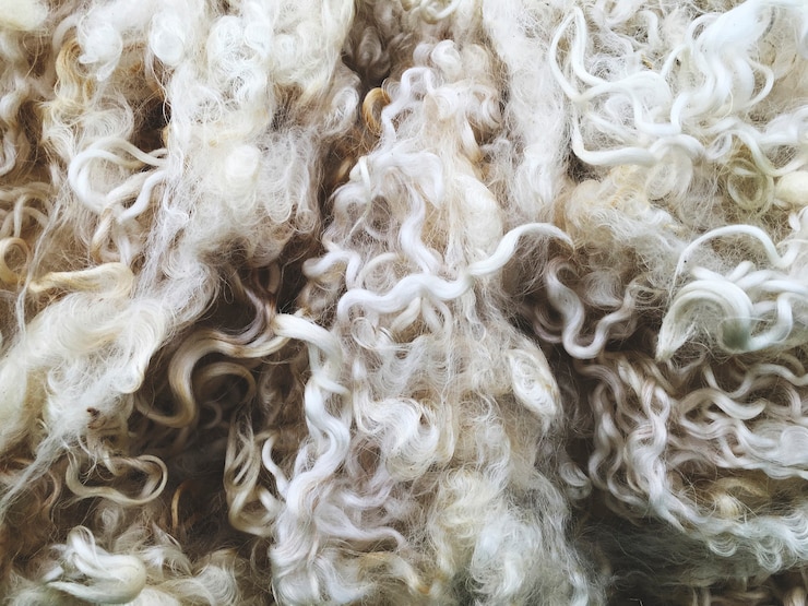 Speciality Fiber Production: From Alpaca to Angora in South Africa