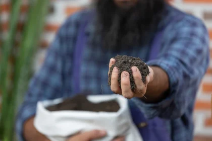 Conservation Agriculture and Soil Conservation Techniques in South Africa