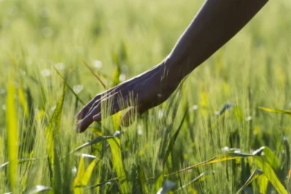 The Impact of Climate-Smart Agriculture in Mitigating Climate Change in South Africa