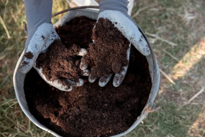 Conservation Tillage and Reduced Soil Disturbance Practices in South Africa