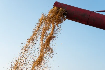 the Importance of Grain Cleaning and Sorting Equipment in Crop Quality Assurance