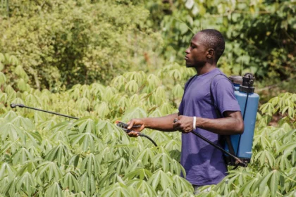 Sustainable Pest and Disease Management in South African Agriculture