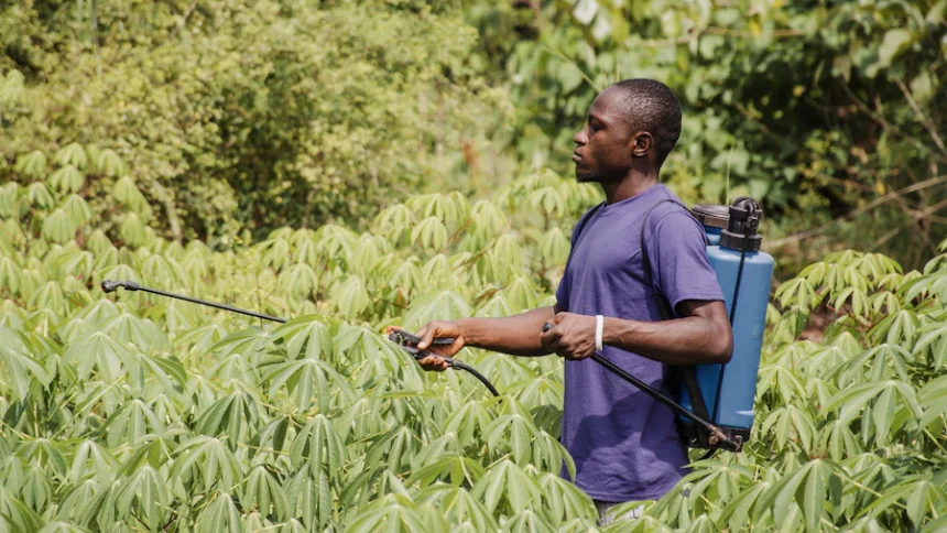 Sustainable Pest and Disease Management in South African Agriculture