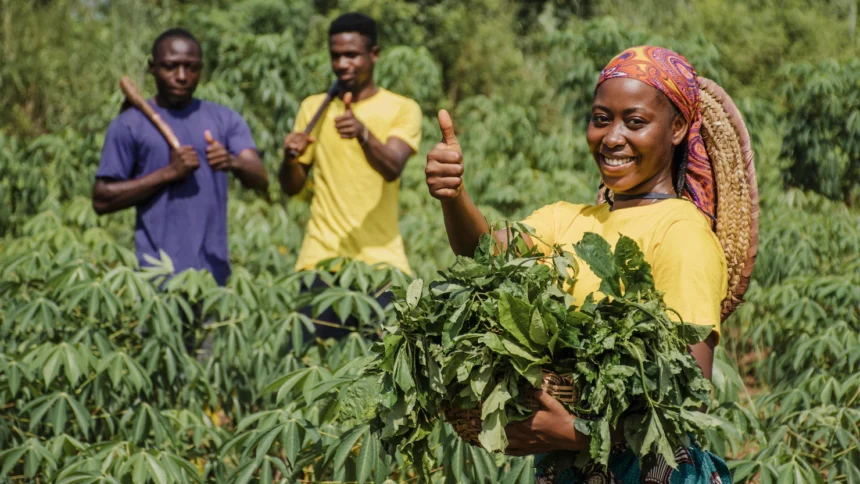 Rediscovering Indigenous African Crops: Cultural Heritage and Sustainable Agriculture