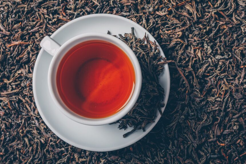 Rooibos: South Africa's Signature Herbal Tea and Export Success