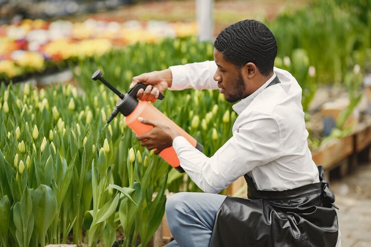 Water Management Strategies for Sustainable Agriculture in South Africa