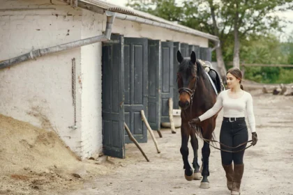 The Equine Industry: Unveiling the Beauty and Potential of Horses in South Africa