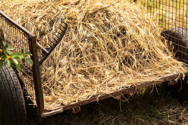 How to Efficiently Use Hay Balers and Forage Equipment