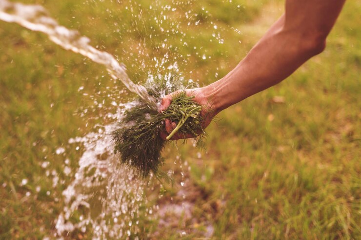 Water Resource Management in South African Agriculture