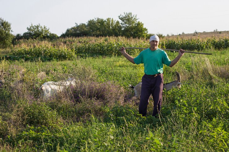 Rangeland and Veld Management for Sustainable Grazing Practice