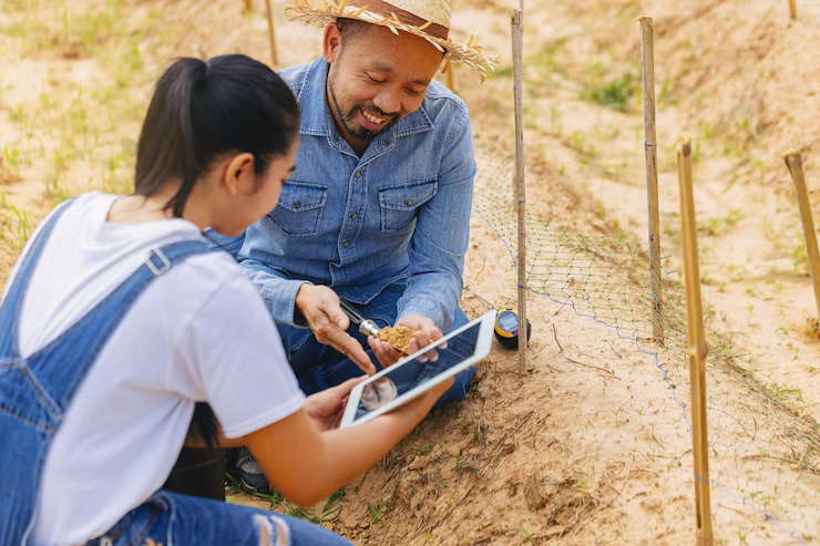 Navigating the Challenges and Opportunities of Small-Scale Farming in South Africa