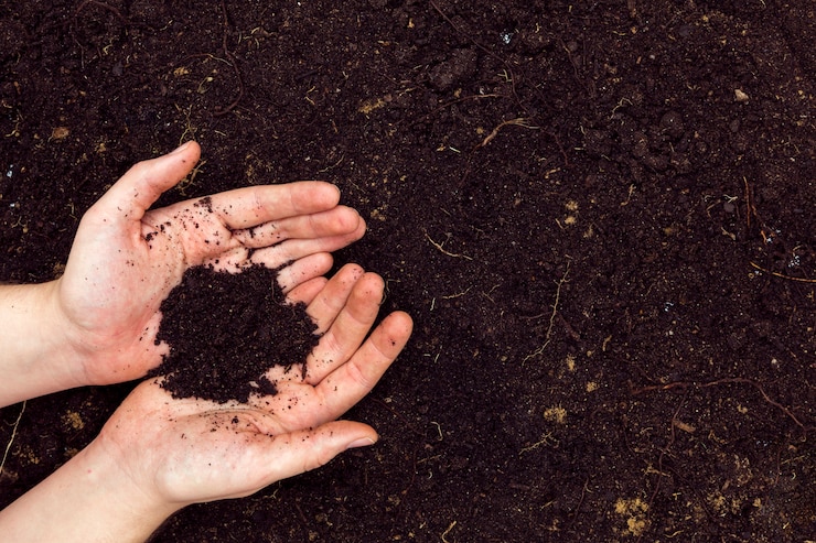 Understanding The Benefits Of Regenerative Agriculture For Soil Health