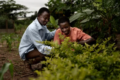 The Importance of Biodiversity and Ecosystem Services in South African Agriculture