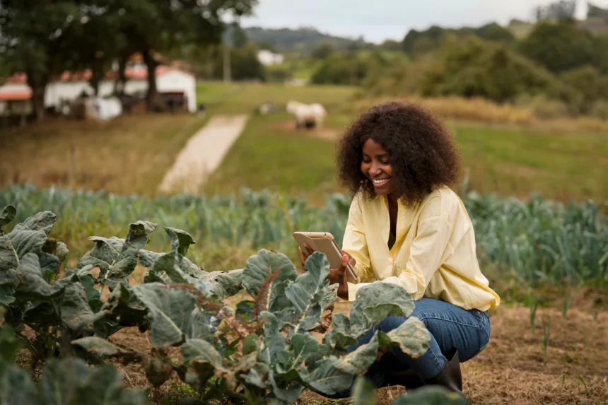 The Role Of Farm Cooperatives in Supporting Small-Scale Farmers In South Africa