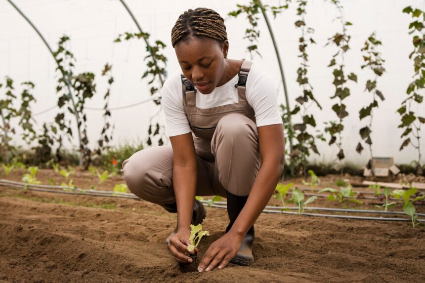 Exploring The Benefits Of Organic Farming For Soil Health And Food Safety In South Africa