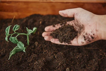 Enhancing Soil Health and Fertility in South African Agriculture