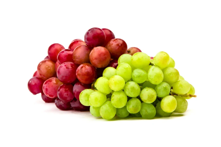 Symptoms Of Botrytis Bunch Rot You Should Look Out For In Grapes