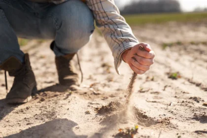 10 Things you should know about a Soil Scientist job