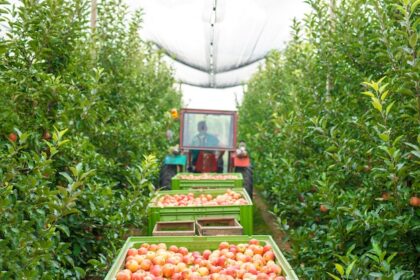 How to Choose the Right Orchard Equipment for Fruit Farming