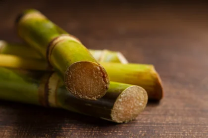 Sugarcane Production: Sweet Success in South African Agriculture