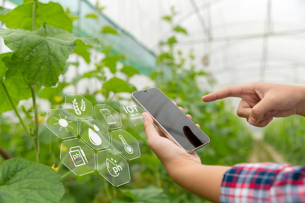 The Role Of Technology In Modern Farming Practices In South Africa