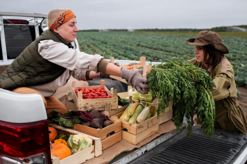 The Impact of Global Food Systems on Local Farming Communities